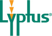Lyptus