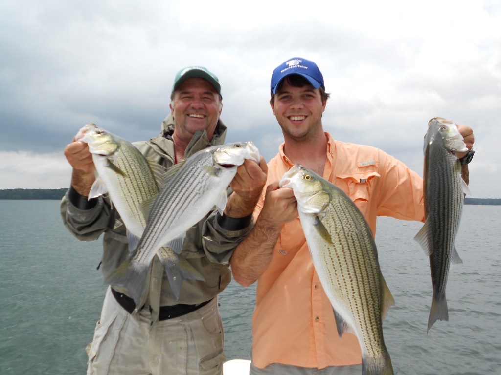 Striper Fishing on West Point Book Now. Outdoors with Joey Mines